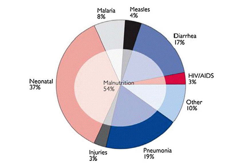 Figure 2.jpg 1