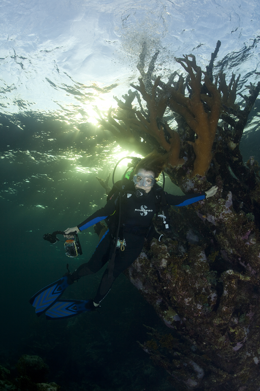 Sylvia with Elkhorn Coral_(c)KipEvans_0117_2.png