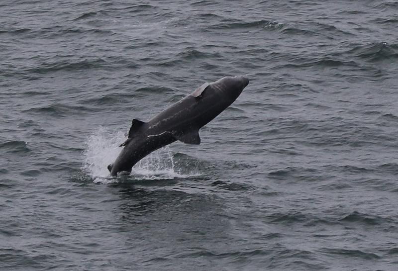Loop Head 27092020_Breacher 2.jpg