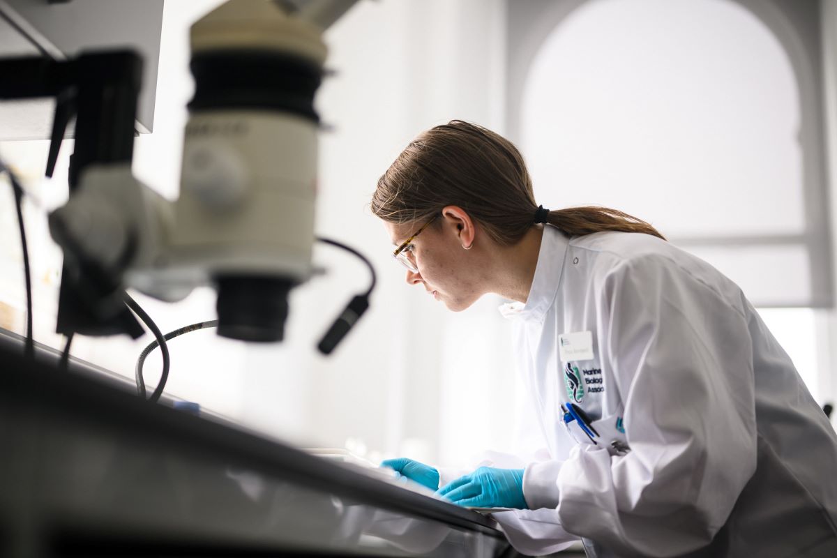 1 person in a laboratory looking at samples on a lab bench while wearing protective eye wear and a lab coat 