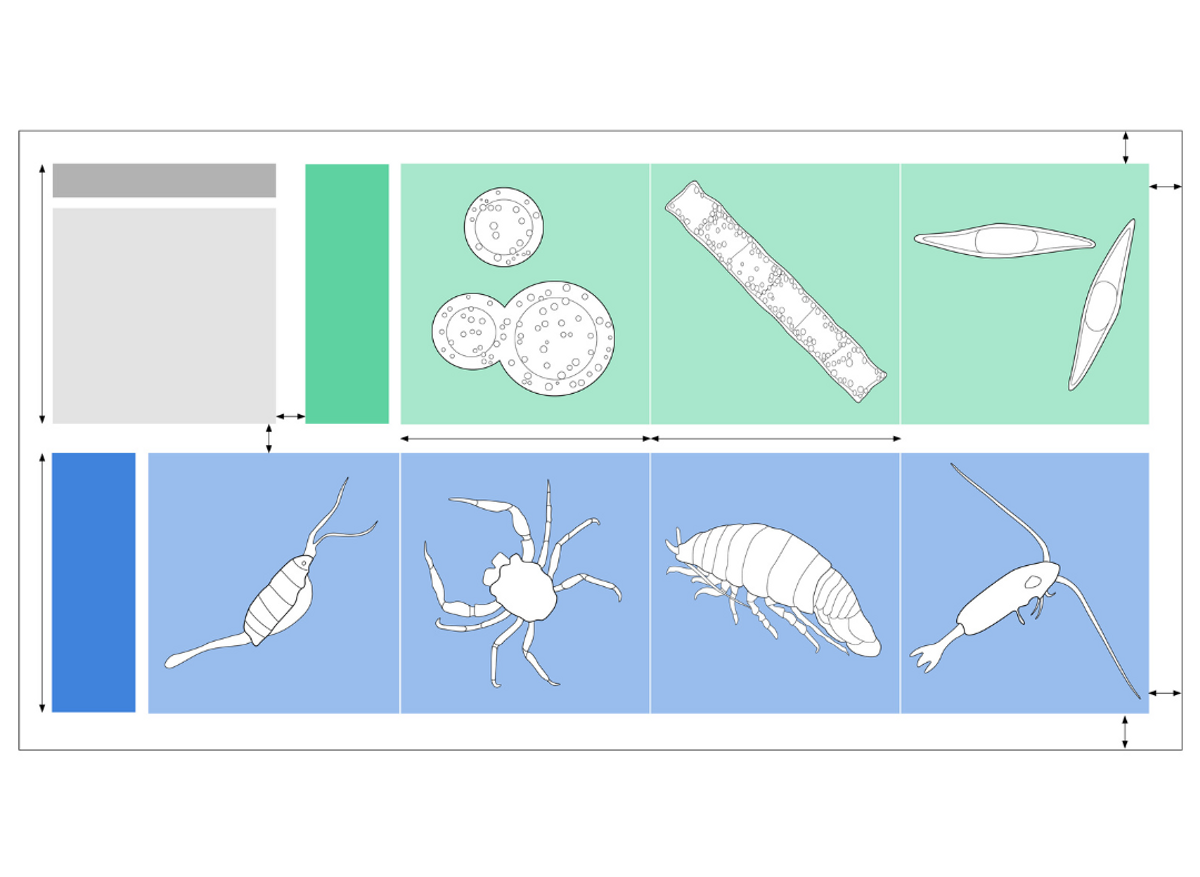 Scientific Visual Communication © Dr Gill Brown