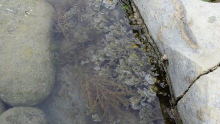 DSC_0016_o.jpg