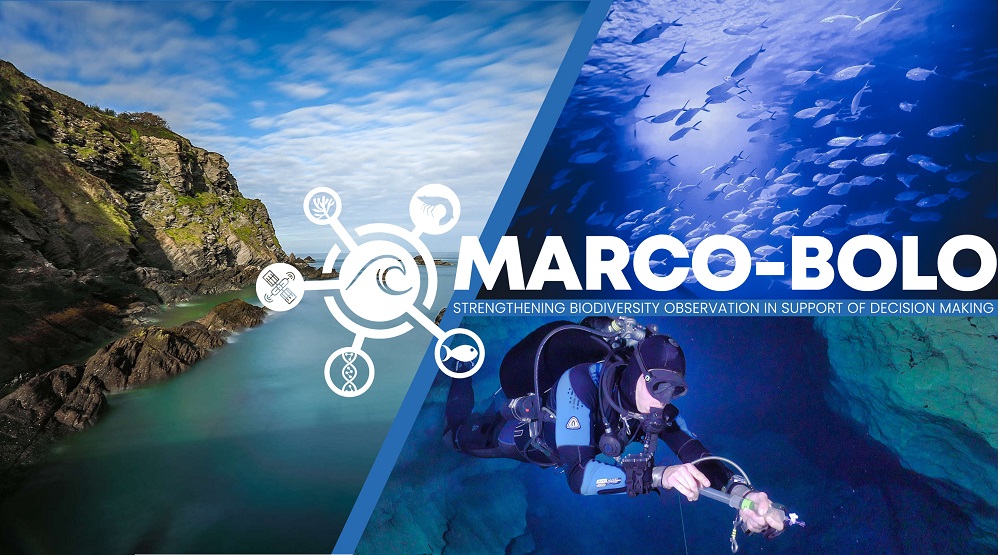 Graphic representing the MARCO-BOLO_o.jpg