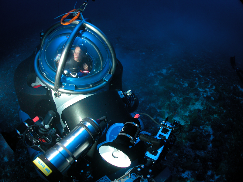 Sylvia Earle in Deepworker sub Photo credit Tim TaylorDSCN0032Pulley Ridge Sub.png