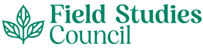 fsc-logo-tree-green-rgb.png