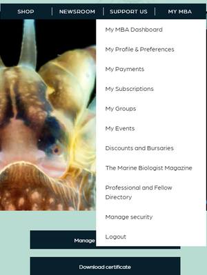 my payments dashboard.png