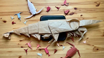 Fig. 5 for composite origami Neil Banas_o.jpg