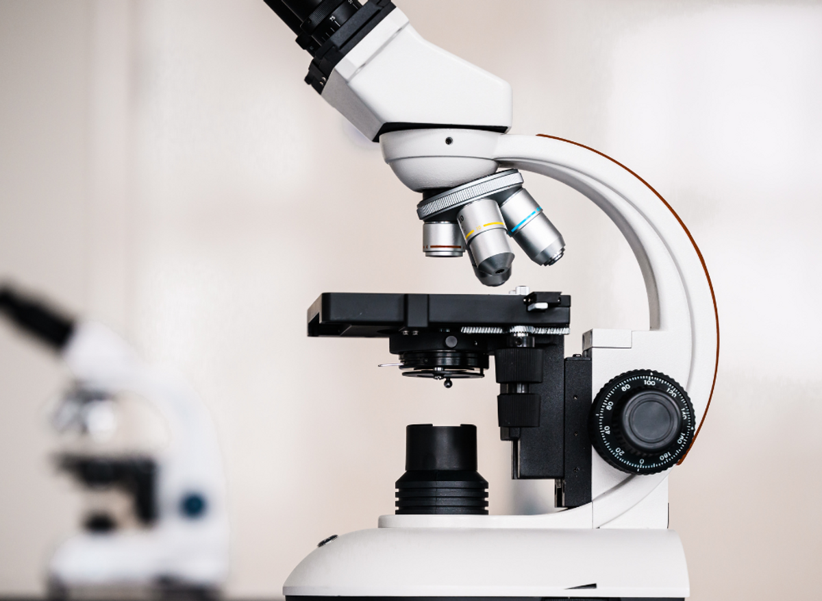 Dissection and Compound Microscopes Available