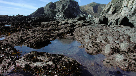 rock pools.jpg